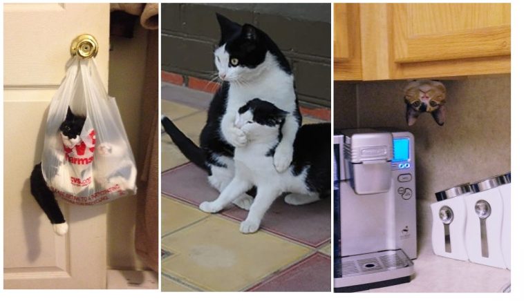 Zdroj : brightside.me