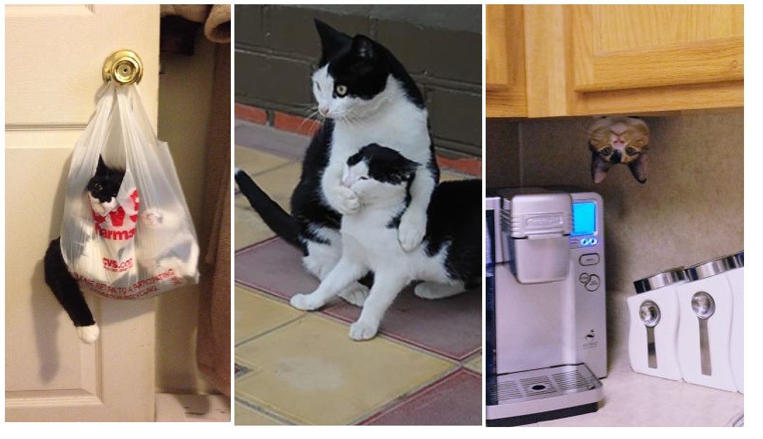 Zdroj : brightside.me