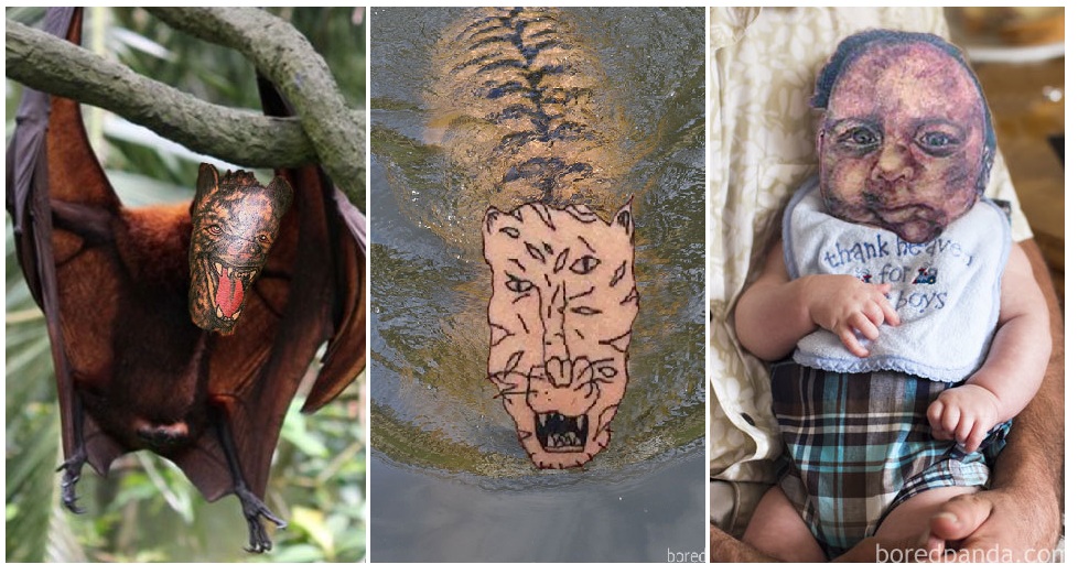 Zdroj: boredpanda.com