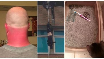 Zdroj : brightside.me