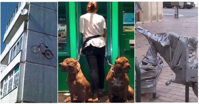 Zdroj : brightside.me