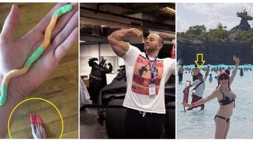 Zdroj : brightside.me