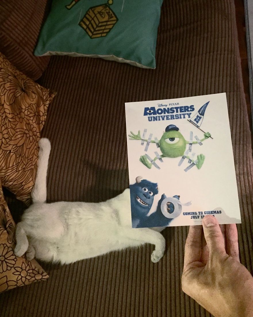 Zdroj: boredpanda.com