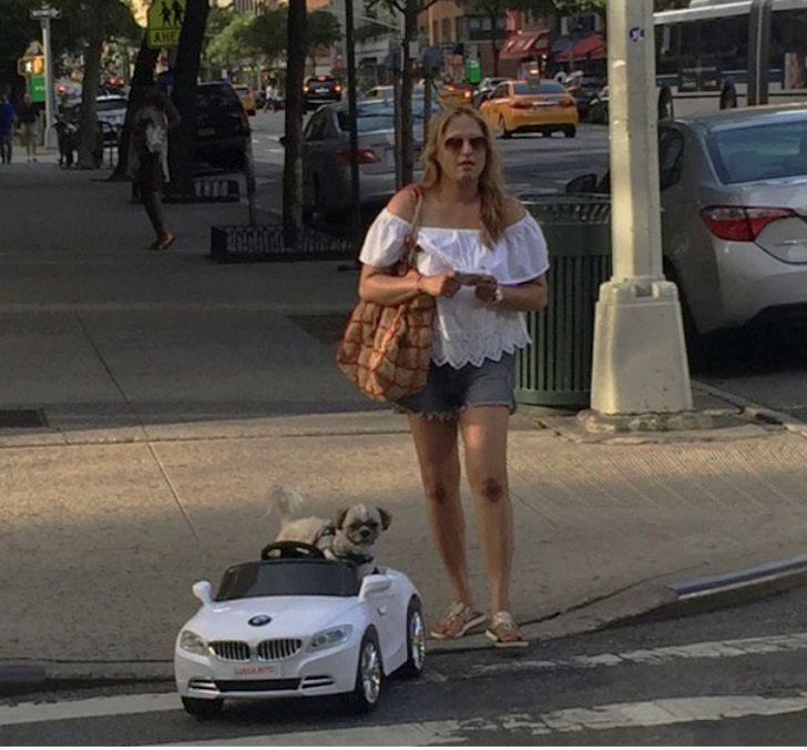 Zdroj : brightside.me