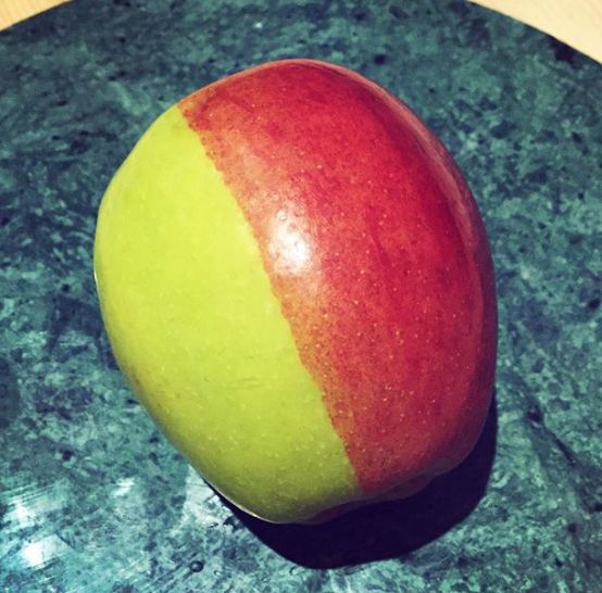 Zdroj : brightside.me