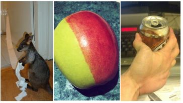 Zdroj : brightside.me