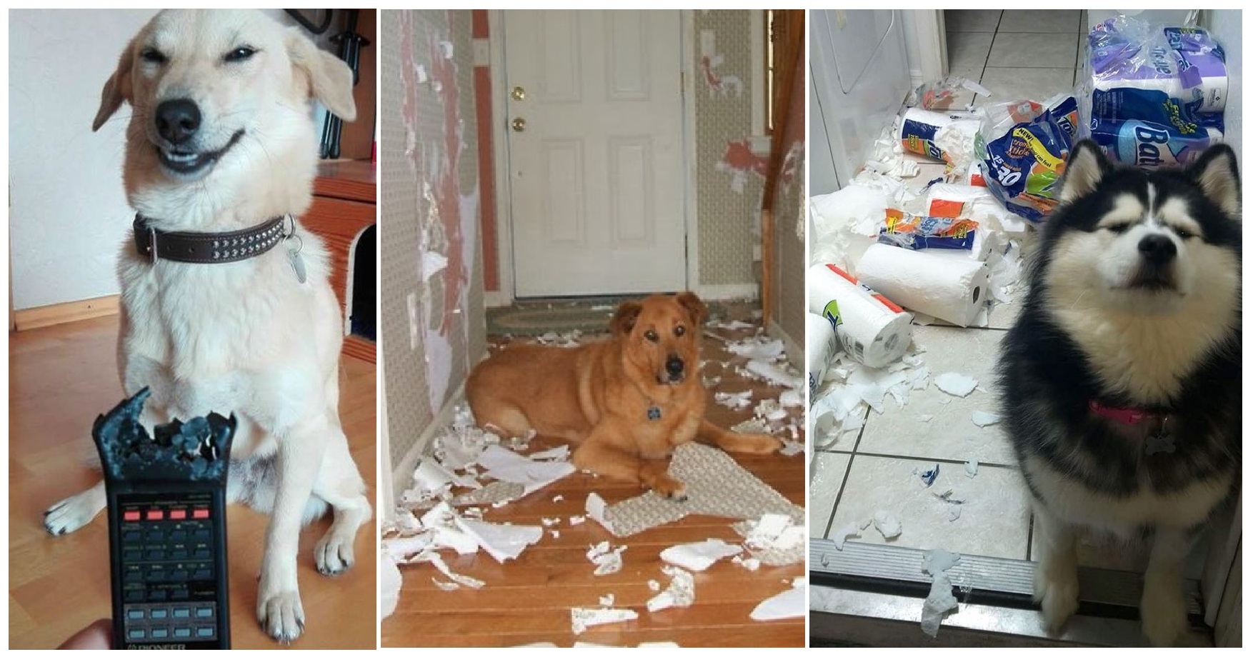 Zdroj : brightside.me