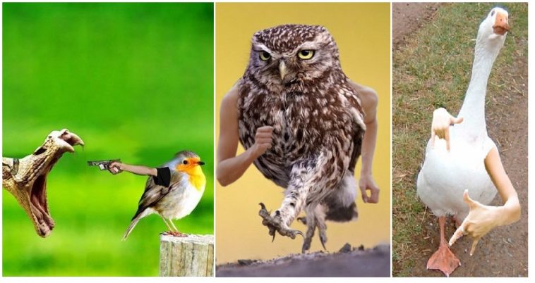 Zdroj : brightside.me