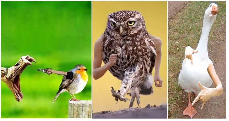 Zdroj : brightside.me