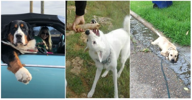 Zdroj : brightside.me