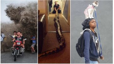 Zdroj : brightside.me