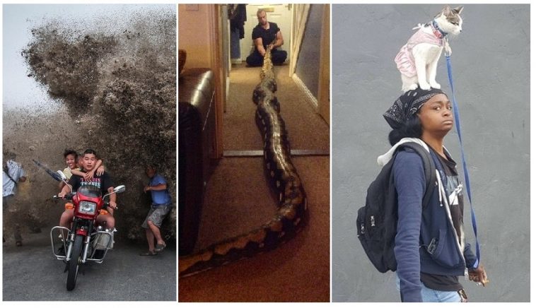 Zdroj : brightside.me