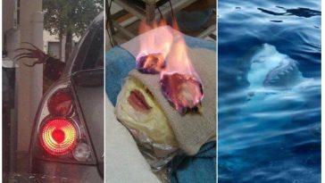 Zdroj : brightside.me