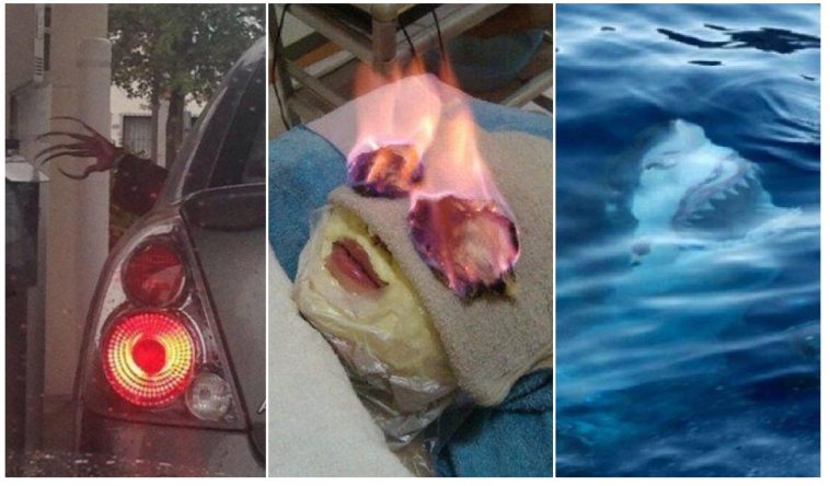 Zdroj : brightside.me