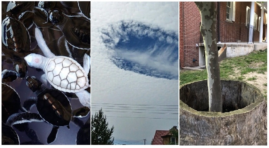 Zdroj : brightside.me