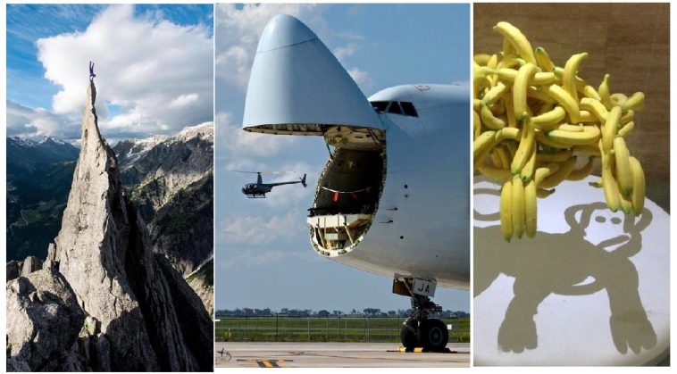 Zdroj : brightside.me