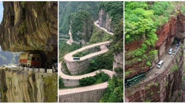 Zdroj : brightside.me