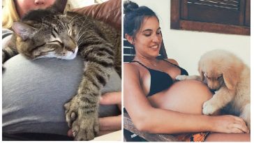 Zdroj : brightside.me