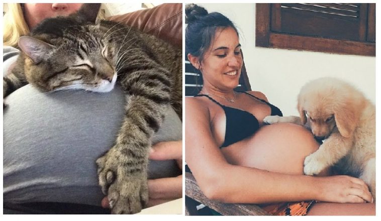 Zdroj : brightside.me