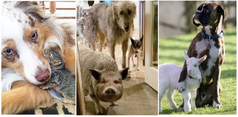 Zdroj : brightside.me