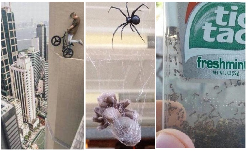 Zdroj : brightside.me