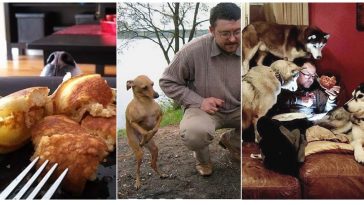 Zdroj : boredpanda.com