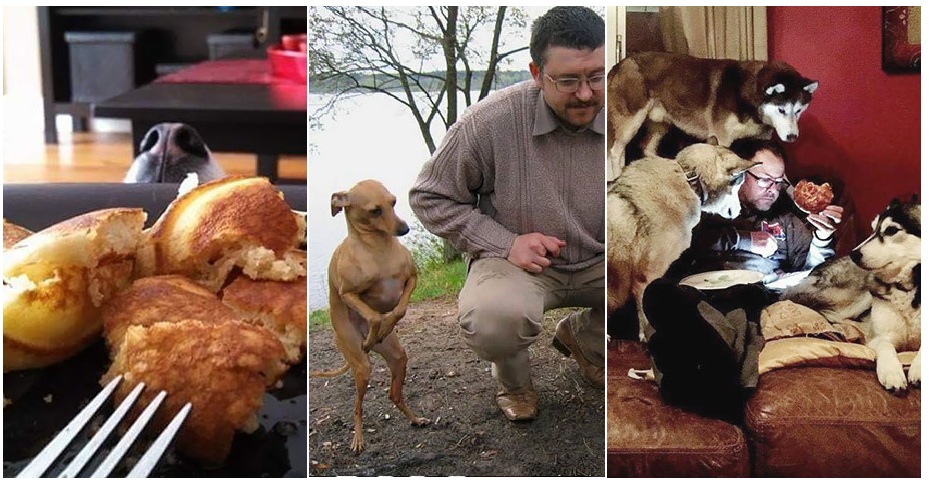 Zdroj : boredpanda.com