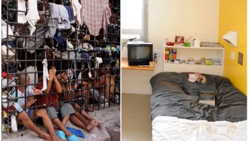 Zdroj : boredpanda.com