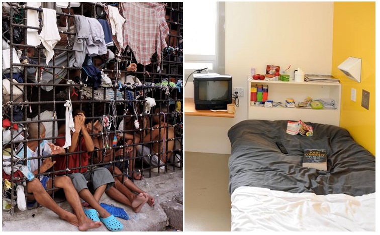 Zdroj : boredpanda.com