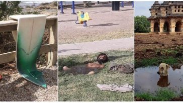 Zdroj : brightside.me