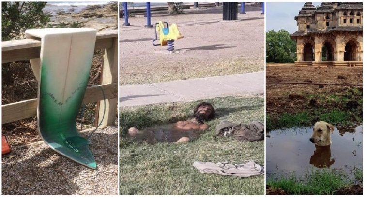 Zdroj : brightside.me