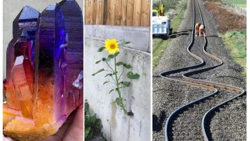 Zdroj : brightside.me