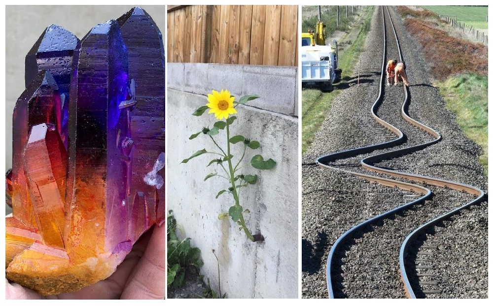 Zdroj : brightside.me