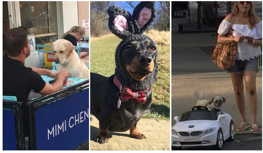 Zdroj : brightside.me