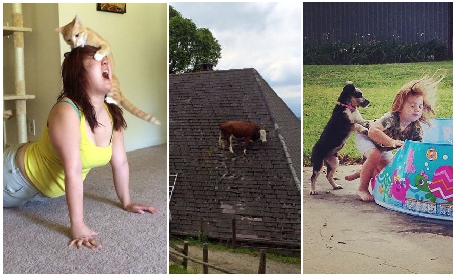 Zdroj : brightside.me