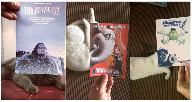 Zdroj: boredpanda.com