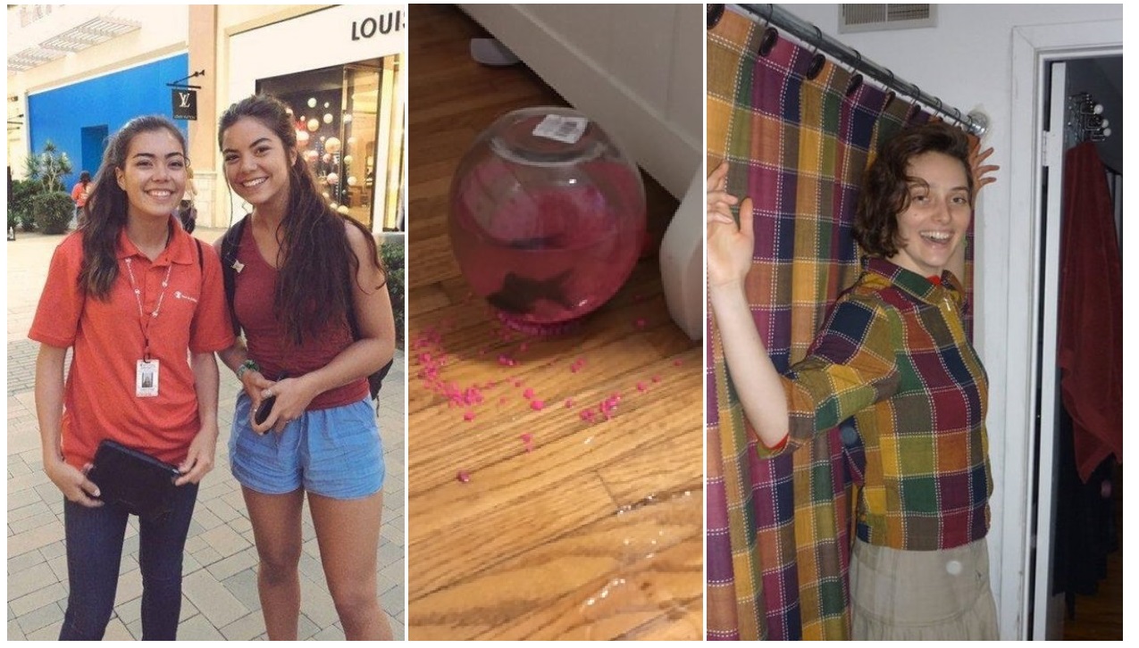 Zdroj : thechive.com