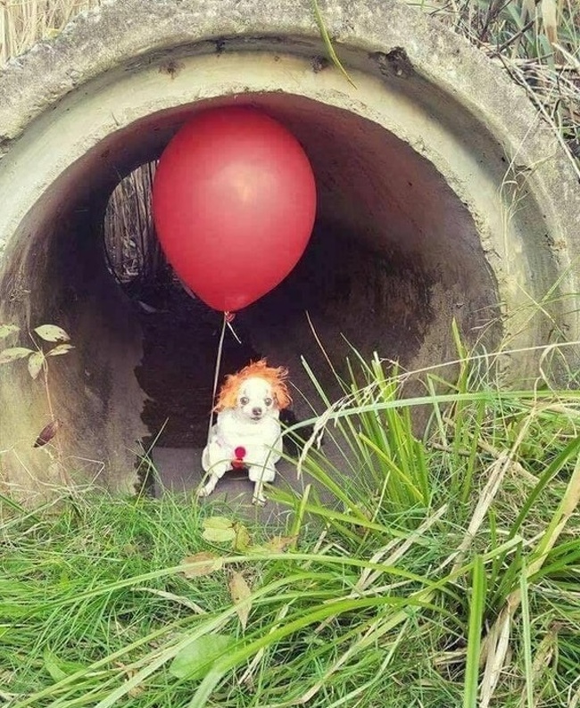 Zdroj : brightside.me