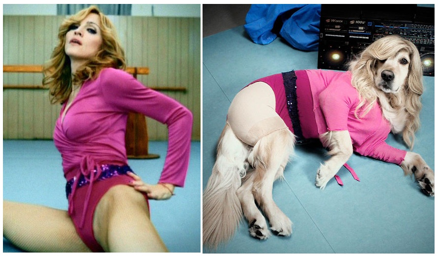 Zdroj : boredpanda.com