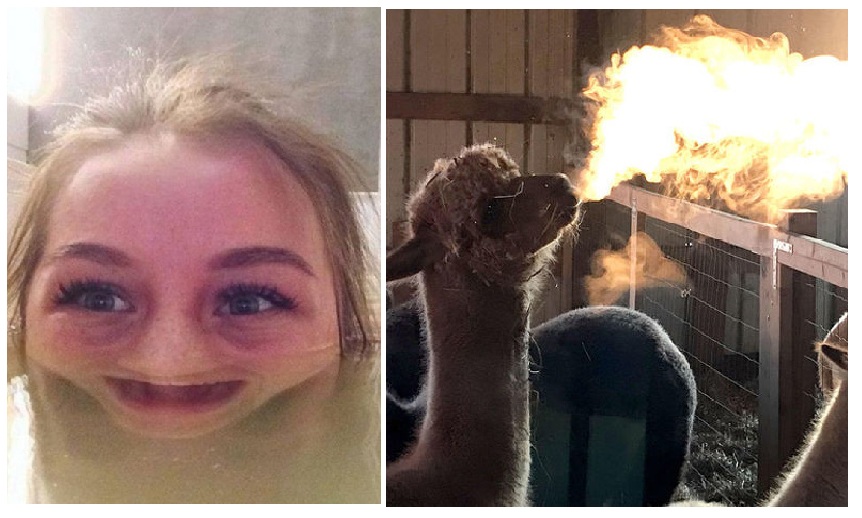 Zdroj : brightside.me