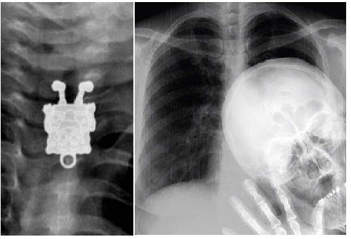 Zdroj : brightside.me