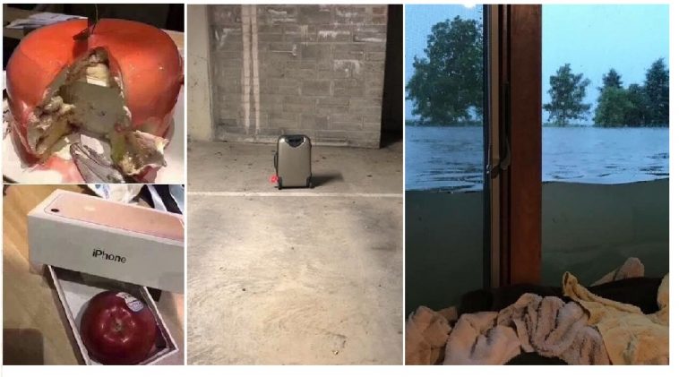 Zdroj : brightside.me