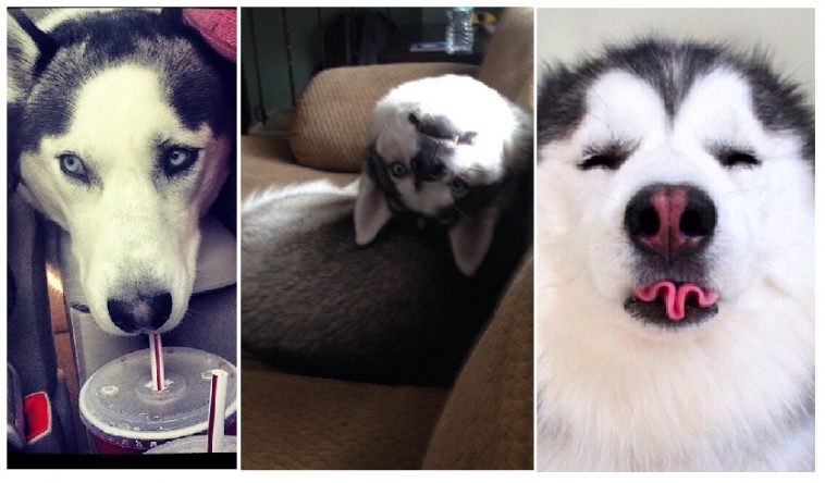 Zdroj : brightside.me