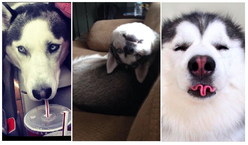 Zdroj : brightside.me