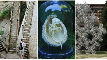 Zdroj : brightside.me