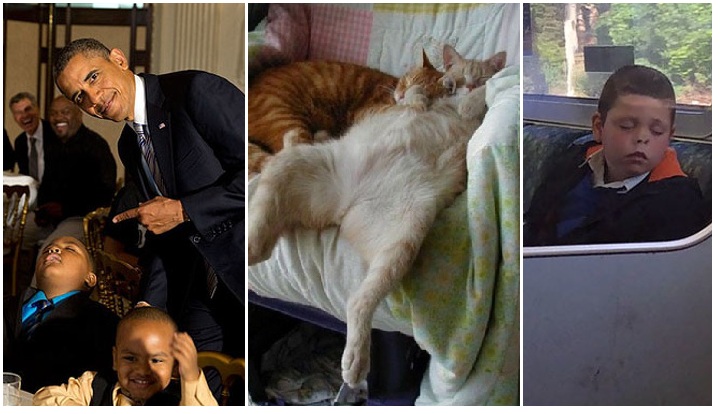 Zdroj : brightside.me