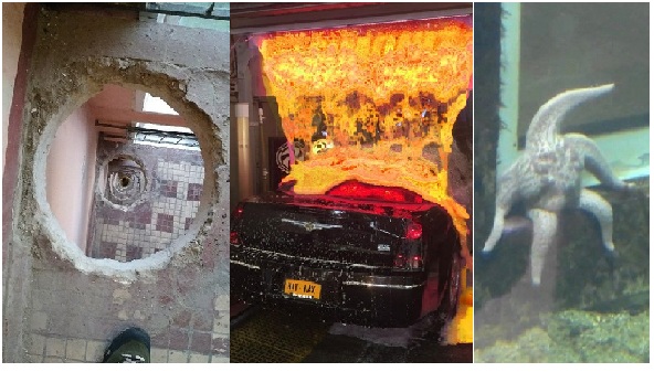 Zdroj : brightside.me