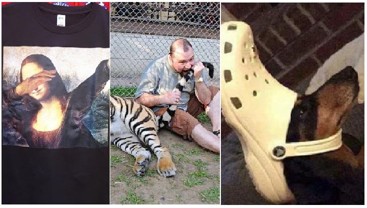 Zdroj : brightside.me