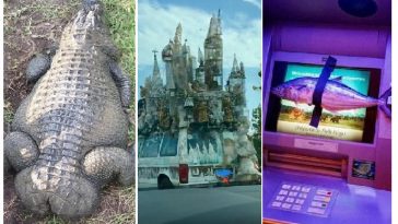 Zdroj : brightside.me