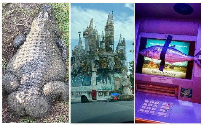 Zdroj : brightside.me